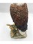 Veronese Kel Kartal Figürü, Renkli El Boyaması, Dekoratif Heykel 13 x 9,5 x 22 cm 4
