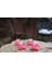 Domuz 3D Anahtarlık – Eklemli 3D Baskı Hayvan Figürü, 3D Baskı Oyuncağı, Özel Hediye 2
