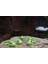 Köpekbalığı Anahtarlık Paketi – 5'li Set + 1 Hediye | 3D Baskı, Özel Renk Seçenekleri, Eşsiz Hediye 2