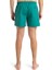 EQYJV04120-21882 Everyday Solid Volley 15 Erkek Şort Mayo 4