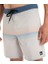 Eqybs04889-Sfa6 Surfsilk Straight Leg 18 Erkek Boardshort 5