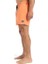 Everyday Solid Volley 15 Erkek Şort EQYJV04120 4