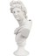 - Apollo Büst Ham Polyester Heykel Obje 32 x 22 cm 2