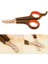 Küçük Çelik Uçlu Kedi Köpek Evcil Hayvan Tırnak Makası Pati Bakım Aleti Ergonomik Kaymaz Sap ( Lisinya ) 4