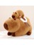 50CM Kirpi Balığı Bebek Peluş Oyuncak Yastık Bebek Tatil Hediyesi (Yurt Dışından) 1