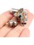 10 Adet/paket Mini 2 Fazlı 4 Telli Step Motor Minyatür Step Dişli Küçük Küçük Mini Motor Oyuncak Motor Dıy (Yurt Dışından) 5
