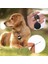 Damgalama Boşlukları Gravür Boşlukları Diskler Metal Boşlukları Anahtarlık Köpek Etiketi (Yurt Dışından) 4
