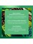 Form Kahve - Matcha & Kahve & Spirulina, 90 gr 2