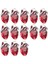 30 Adet Kalp Charms Anatomik Charms 3D Organ Kalpleri Cadılar Bayramı Charms (Yurt Dışından) 1