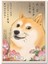 L-Komik Doge Meme Tuval Boyama (Yurt Dışından) 5