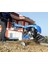 Flash 250 Briggs Stratton Amerikan Motorlu Benzinli Çapa Makinası Şanzımanlı 7 Hp 2+1 Vites 3