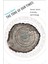 Tone Of Our Times : Sound, Sense, Economy, And Ecology 1