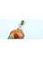Geleneksel No: 021 Kırmızı Üzüm Sirkesi 500ML 3