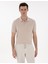 Erkek Taş Regular Fit %100 Pamuk Polo Yaka Basic Tişört 50306552-VR049 1