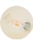 E27 LED Filament Lamba, Sıcak Sarı Işık (2000K), 7W, 630 Lümen, G95 1