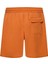Robinson Rc 16'' Beachshort Erkek Şort 2