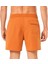 Robinson Rc 16'' Beachshort Erkek Şort 4