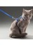 Luxury Kedi Tasması 1 Adet 5