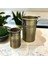 Luxury 2 Li Gold Çay Şeker Kavanozu,paslanmaz Bakliyat Saklama Kabı ve 2 Li Sunumluk Set 13X9 8x5 1 Adet 2