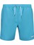 Beach Volley 16'' Beachshort Erkek Şort 1