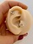 1 Adet Arkası Düz Kirazlı Incilitragus Helix Lobe Conch Uyumlu Piercing 2