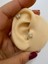 1 Adet Arkası Düz Önden Takmalı Tragus Helix Lobe Cocnh Uyumlu Piercing Küpe 2