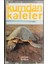 Kaset Kumdan Kaleler Denize Doğru Kaset 1