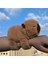Luxury Sevimli Kapibara Peluş Bileklik Hediyelik Bileklik Capybara Kahverengi Peluş 16CM Oyuncak 1 Adet 4