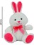 Luxury Neon Renkli Tavşan Peluş 30 cm 62232 1 Adet 2