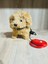 Luxury Kumandalı Pilli Minik Peluş Sesli Havlayan Köpek 1 Adet 3