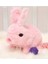 Luxury Yürüyen, Sesli Hareketli Sevimli Peluş Bunny Tavşan - Sweet Bunny 1 Adet 1