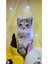 Luxury Peluş Kedi Yumuşak Oyuncak, Uyku Arkadaşım Pelus Kedi, Peluş Cat, Çocuk Genç Hediyelik Doğum Günü 1 Adet 4