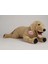 Luxury Peluş Golden Köpek 50 cm 1 Adet 1