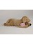 Luxury Peluş Golden Köpek 50 cm 1 Adet 2