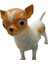 Luxury Köpekler - Chihuahua / Şivava Cinsi Köpek 1 Adet 3