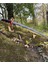 Luxury Demon Slayer Tanjiro's Katana Katlanabilir 1 Adet 2