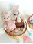 Luxury Amigurumi 2li Oyuncak Seti /sevimli Yumuşak Tavşanlar 1 Adet 4