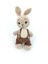 Luxury Amigurumi 2li Oyuncak Seti /sevimli Yumuşak Tavşanlar 1 Adet 5