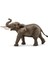 Luxury Schleich Erkek Afrika Fili 14762 1 Adet 1