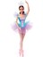 Luxury Signature Ballet Wishes Doll, Posable, Wearing Ballerina Costume, Tutu, Pointe Shoes & Tiara 1 Adet 1