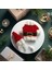 Hamster Için Noel Baba Kostümü 1