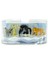 Luxury Ice Age - Buz Devri 4 4’lü Figür Set 8 cm / 1 Adet 1