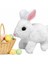 Luxury Yürüyen, Sesli Hareketli Sevimli Peluş Bunny Tavşan - Sweet Bunny 1 Adet 1