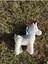 Luxury Unicorn Peluş Oyuncak 35 cm 1 Adet 2