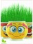 Luxury Emoji Çim Adam 5 Adet Kız Erkek Cocuk Egitici Montessori Oyuncaklar 1 Adet 1