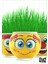 Luxury Emoji Çim Adam 5 Adet Kız Erkek Cocuk Egitici Montessori Oyuncaklar 1 Adet 2