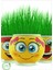 Luxury Emoji Çim Adam 5 Adet Kız Erkek Cocuk Egitici Montessori Oyuncaklar 1 Adet 4