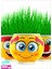 Luxury Emoji Çim Adam 5 Adet Kız Erkek Cocuk Egitici Montessori Oyuncaklar 1 Adet 5