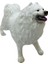 Luxury Köpekler - Samoyed Cinsi Köpek 1 Adet 1