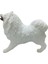 Luxury Köpekler - Samoyed Cinsi Köpek 1 Adet 2